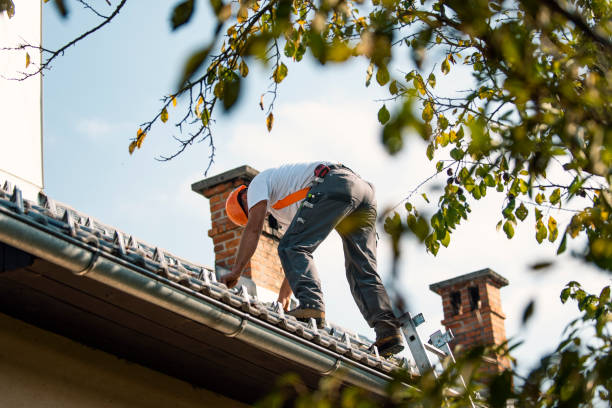 Best Flat Roof Repair Services  in Harbison Nyon, CA