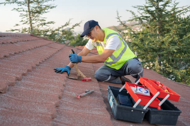Best Roof Leak Repair  in Harbison Nyon, CA